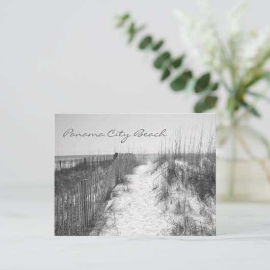 Panama City Beach Zugang Schwarz-Weiß Postkarte (Stehend Vorderseite)