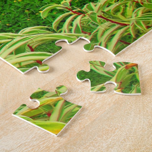 Panama City Gardens Puzzle (Seite)