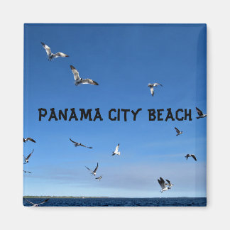 PANAMA CITY MAGNET