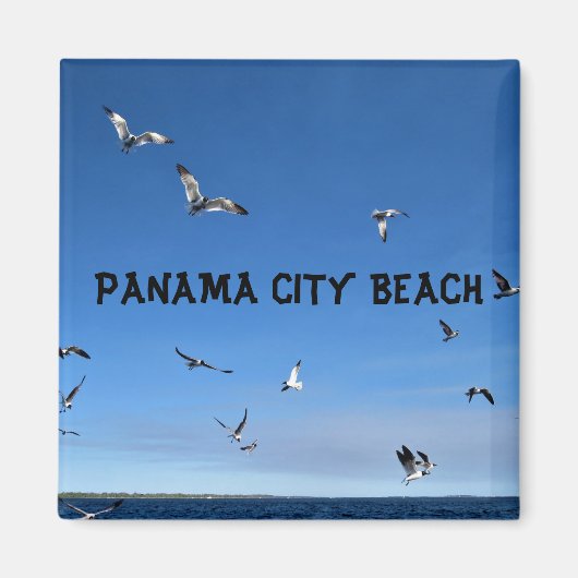 PANAMA CITY MAGNET (Vorne)