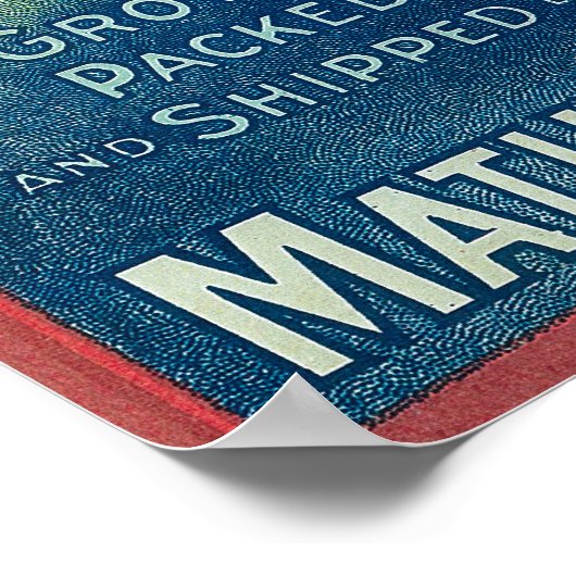 Panama Pacific Apple Crate Label Poster (Ecke)