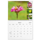 PANAMA POSTALS CALENDAR 2010 KALENDER (Mär 2027)
