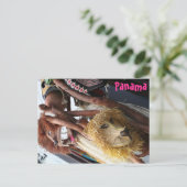 Panama Postkarte (Stehend Vorderseite)