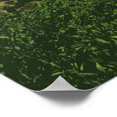 Panayia Poster (Ecke)