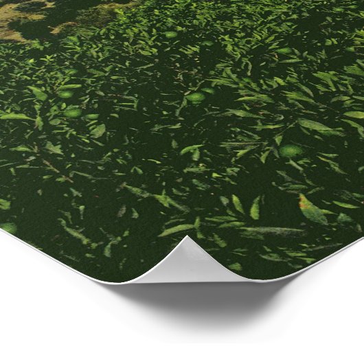 Panayia Poster (Ecke)