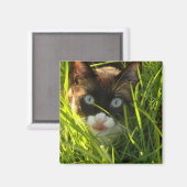 Pancake Magnet (Vorderseite/Rückseite)