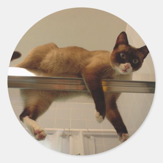 Pancake Sticker (Vorderseite)