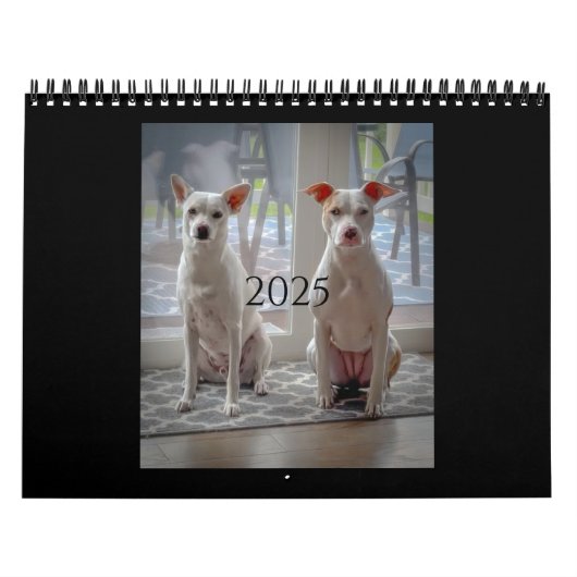 Pancake und Milchshake, mittlerer Kalender (Titelbild)