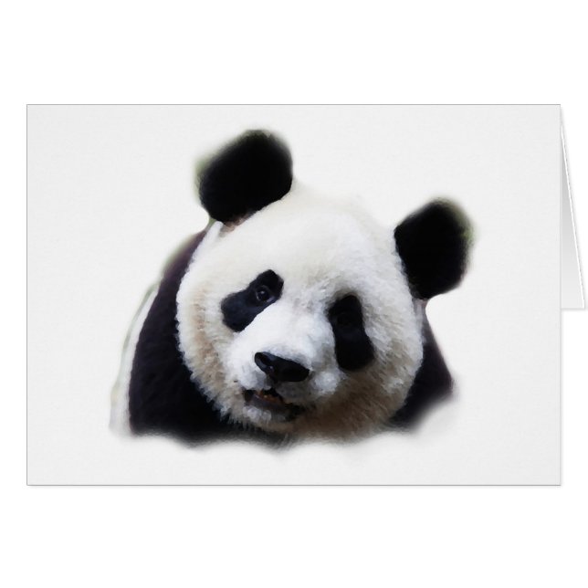 Panda (Vorderseite (Horizontal))