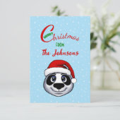 Panda (Stehend Vorderseite)