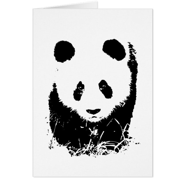 Panda (Vorne)