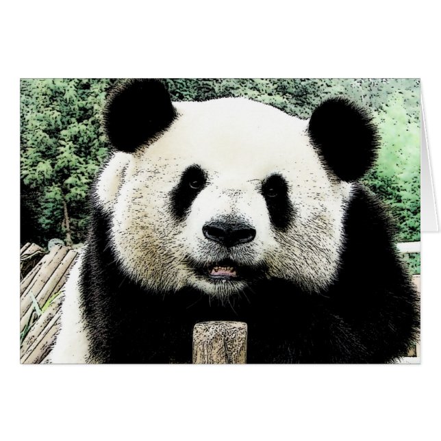 Panda (Vorderseite (Horizontal))