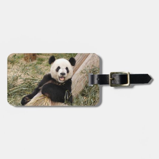 panda107 gepäckanhänger (Vorderseite horizontal)