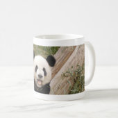 panda107 kaffeetasse (VorderseiteRechts)