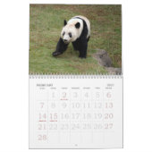panda117, Panda-Bären Kalender (Feb 2027)