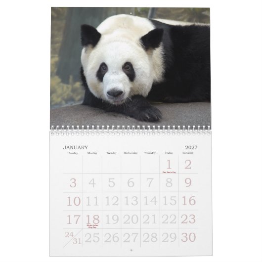 panda117, Panda-Bären Kalender (Jan 2027)