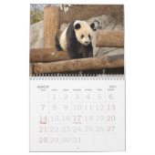 panda117, Panda-Bären Kalender (Mär 2027)