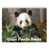 panda117, Panda-Bären Kalender (Titelbild)
