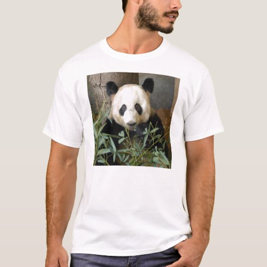 panda117 T-Shirt (Vorderseite)