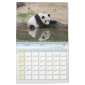 panda118, Panda-Bären Kalender (Jan 2027)