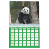 panda118, Panda-Bären Kalender (Mär 2027)