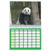panda118, Panda-Bären Kalender (Mär 2026)