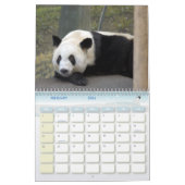 panda118, Panda-Bären Kalender (Feb 2026)