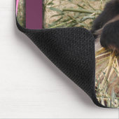 panda1-00098-85x85 mousepad (Ecke)