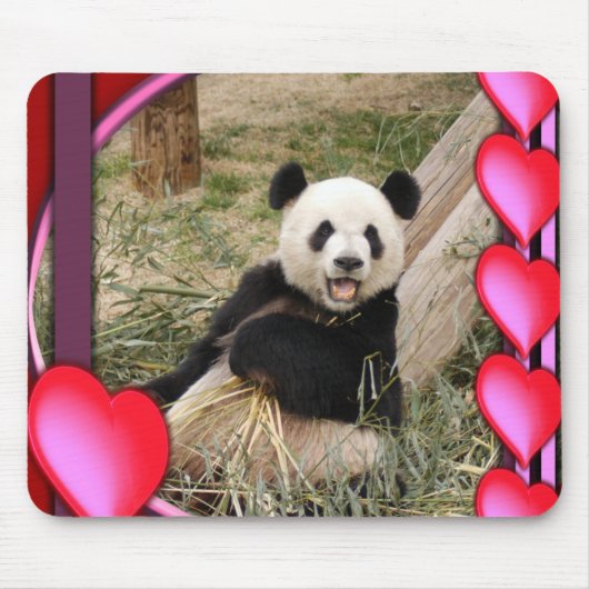 panda1-00098-85x85 mousepad (Vorne)