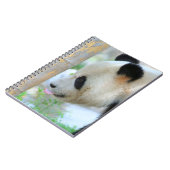 Panda20170502_by_JAMFoto Notizblock (Linke Seite)