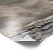 Panda20170506_by_JAMFoto Fotodruck (Ecke)
