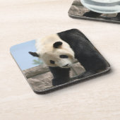 Panda20170506_by_JAMFoto Getränkeuntersetzer (Linke Seite)