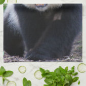 Panda_20190301_by_JAMFoto Geschirrtuch (Gefaltet)
