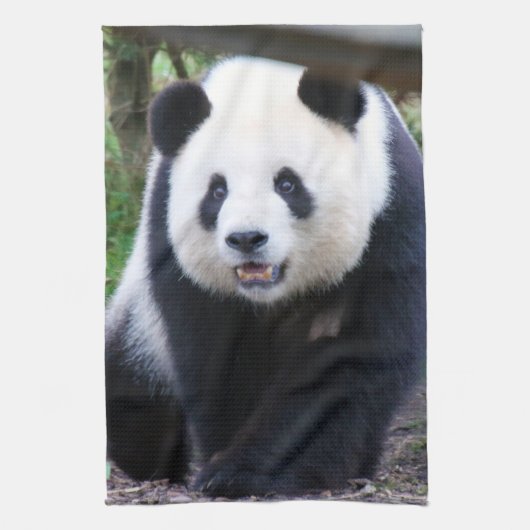 Panda_20190301_by_JAMFoto Geschirrtuch (Vertikal)