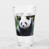 Panda_20190301_by_JAMFoto Glas (Rückseite)