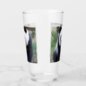 Panda_20190301_by_JAMFoto Glas (Rechts)