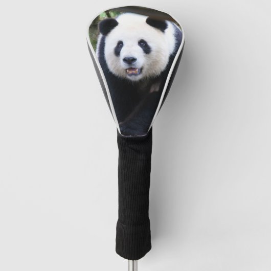 Panda_20190301_by_JAMFoto Golf Headcover (Vorderseite)