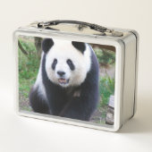 Panda_20190301_by_JAMFoto Metall Brotdose (Rückseite)