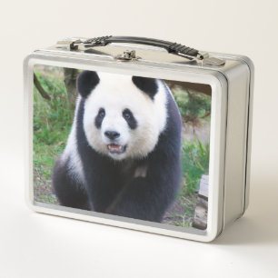 Panda_20190301_by_JAMFoto Metall Brotdose