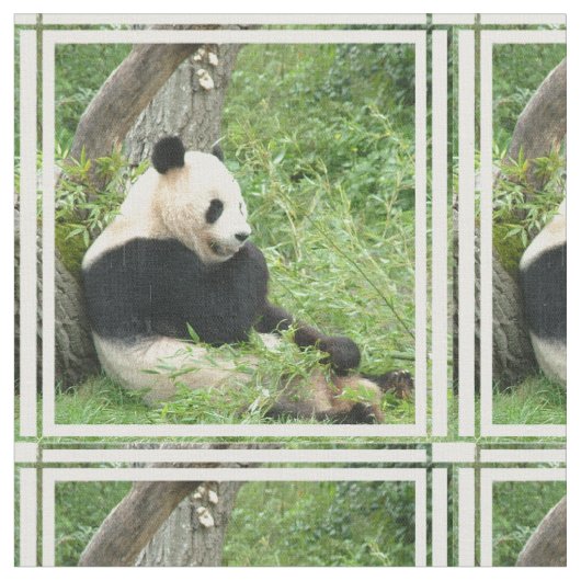 panda-4.jpg stoff (Nahaufnahme)