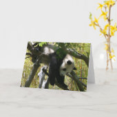 Panda #4 karte (Gelbe Blume)