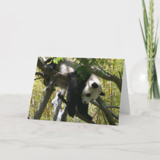 Panda #4 karte