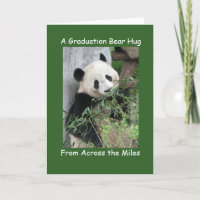 Panda Abschluss Bär umarmt über die Meilen, grün