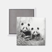 Panda Animal Discovery Wild Nature Ink Sketch Kuns Magnet (Vorderseite/Rückseite)
