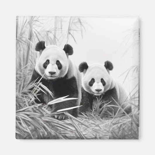 Panda Animal Discovery Wild Nature Ink Sketch Kuns Magnet (Vorne)