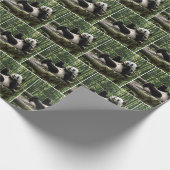 Panda auf einer Holzplattform Geschenkpapier (Ecke)