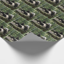 Panda auf einer Holzplattform