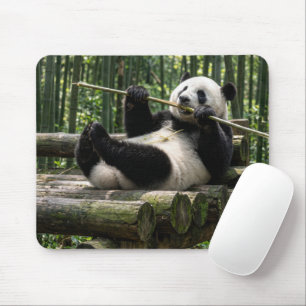 Panda auf einer Holzplattform Mousepad