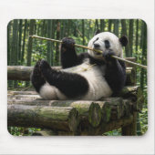 Panda auf einer Holzplattform Mousepad (Vorne)