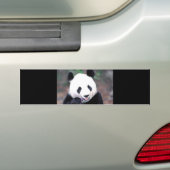 Panda Autoaufkleber (Auf Auto)